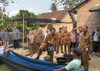 Tim TPID Kabupaten Tanggamus Tinjau Panen Ikan Lele di Pekon Way Jaha Kecamatan Pugung