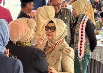 Sentra UMKM Tanggamus Diresmikan, Simbol Kebangkitan Ekonomi Rakyat