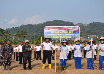 Dukung Swasembada Nasional, Lanal Lampung Tanam Kedelai di Lahan Ketahanan Pangan