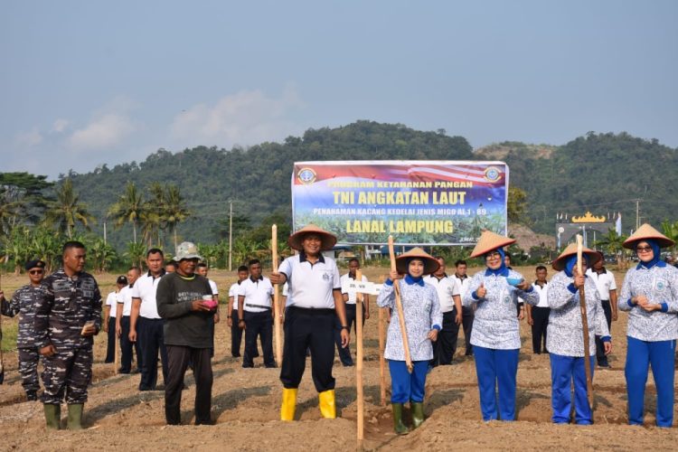 Dukung Swasembada Nasional, Lanal Lampung Tanam Kedelai di Lahan Ketahanan Pangan