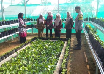 Polisi Kawal Lomba KWT di Sungai Langka, Wujud Dukung Ketahanan Pangan dan Pemberdayaan Perempuan