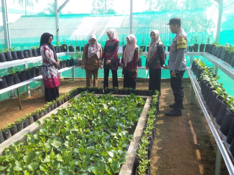 Polisi Kawal Lomba KWT di Sungai Langka, Wujud Dukung Ketahanan Pangan dan Pemberdayaan Perempuan