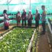 Polisi Kawal Lomba KWT di Sungai Langka, Wujud Dukung Ketahanan Pangan dan Pemberdayaan Perempuan