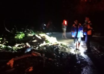 Erosi Air Akibatkan Longsoran di Tanjakan Ketapang, Jalan Wisata Pesawaran Tertutup Material