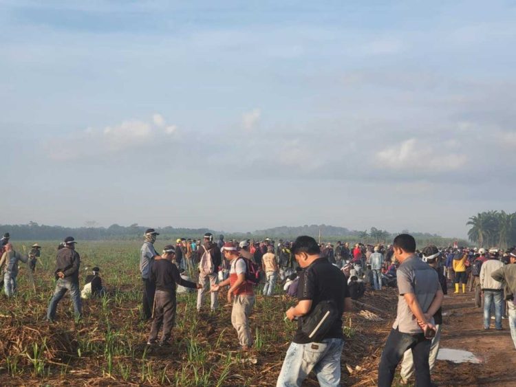 Tiga Kampung Anak Tuha Duduki Lahan PT BSA, Klaim 807 Hektare Warisan Adat