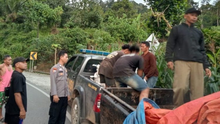 Polres Tanggamus Tangkap Komplotan Pencuri 85 Baterai PLTS, Tiga Pelaku Masih Buron