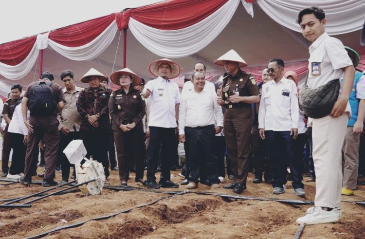 Pringsewu Targetkan Produksi Jagung 48.899 Ton dan Dorong UMKM Melalui Program Mitra Adhyaksa