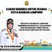 PBB di Kota Bandar Lampung Digratiskan, Ini Syarat dan Keringanan yang Diberikan