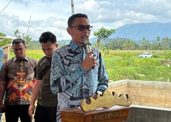 Wakil Bupati Tanggamus Hadiri Panen Raya Padi Organik di Talang Padang