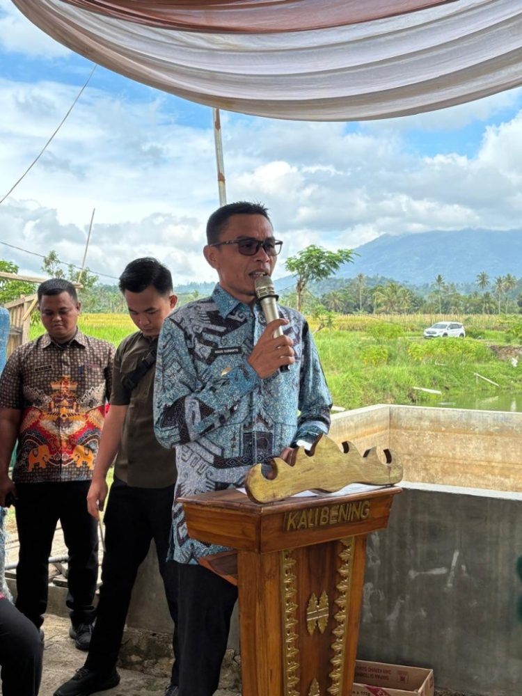 Wakil Bupati Tanggamus Hadiri Panen Raya Padi Organik di Talang Padang