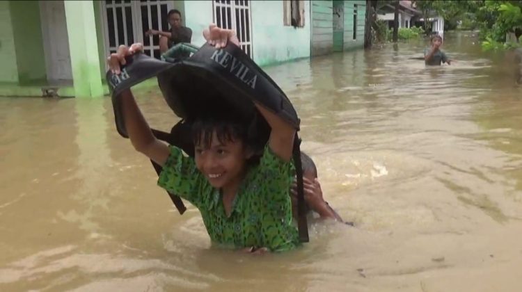 Banjir Melanda Wonosobo Tanggamus, Puluhan Rumah Terendam dan Dua Pekon Paling Parah
