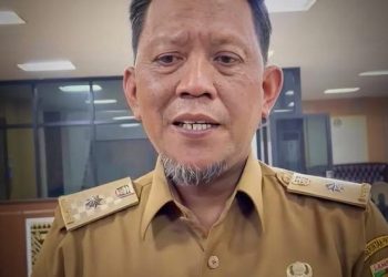 Pemprov Lampung Siap Bersinergi Atasi Jembatan Rusak di Pekon Tampang Muda