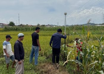 Tanah Wakaf NU Mulai Diukur untuk Penerbitan Sertifikat, Dorong Legalitas Aset Keagamaan di Pringsewu