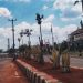 Pringsewu Panas Usai Pohon Ketapang Kencana di Median Jalan Pemkab Dibongkar, DPRD Ikut Angkat Bicara