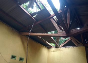 Pohon Tumbang di Gebang, Bupati Pesawaran Langsung Turunkan Bantuan untuk Warga