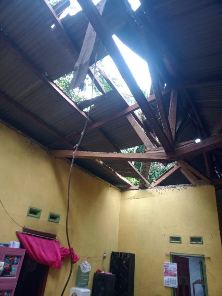 Pohon Tumbang di Gebang, Bupati Pesawaran Langsung Turunkan Bantuan untuk Warga
