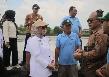 Gubernur Lampung Dorong Kebangkitan Petambak Eks Dipasena Lewat Kemitraan Strategis dengan PT Sakti Biru Indonesia