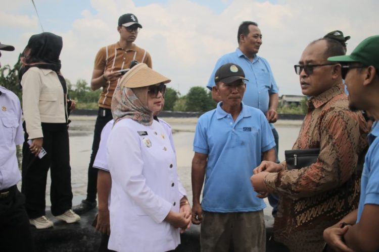 Gubernur Lampung Dorong Kebangkitan Petambak Eks Dipasena Lewat Kemitraan Strategis dengan PT Sakti Biru Indonesia