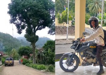 Polisi Semaka Viral, Bantu Ibu Hamil Ambil Mangga Tinggi di Tengah Jalan