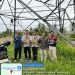 Pringsewu Siap Percepat Pembangunan Tower SUTT, Kantor Pertanahan Lakukan Pemeriksaan Lapang Sertifikat Tapak