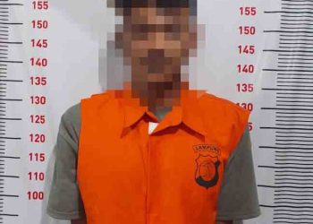 Aksi Nekat! Pencuri Motor dan HP di Ketapang Lampung Selatan Dibekuk Polisi
