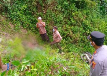 Tragis! Petani Tanggamus Ditemukan Tewas di Jurang Jalan Rewel, Dugaan Kecelakaan Tunggal