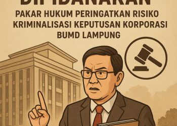 Hasil RUPS Tak Bisa Dipidanakan: Pakar Hukum Ingatkan Bahaya Kriminalisasi Keputusan Bisnis BUMD Lampung
