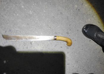 Detik-Detik Mencekam! Sindiran Maut Guncang Pringsewu: Adik Ipar Kalap Bacok Kakak Ipar Tiga Kali