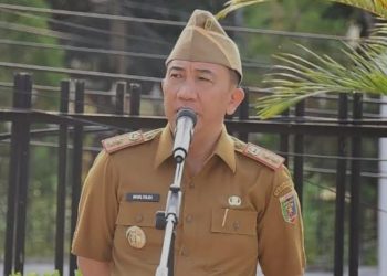 Lampung Perkuat Kemitraan Petani dan Industri Tapioka Hadapi Tekanan Harga Global
