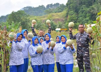 Yonif 7 Marinir TNI AL Gelar Panen Melon dan Ikan Nila Periodik ke-3 Tahun 2025: Wujud Nyata Komitmen Ketahanan Pangan dan Kesejahteraan Prajurit