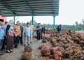 Pabrik Sawit Raksasa PT Pesona Sawit Makmur Resmi Beroperasi Di Lampung Timur, Serap Tenaga Kerja Dan Dongkrak Ekonomi Daerah
