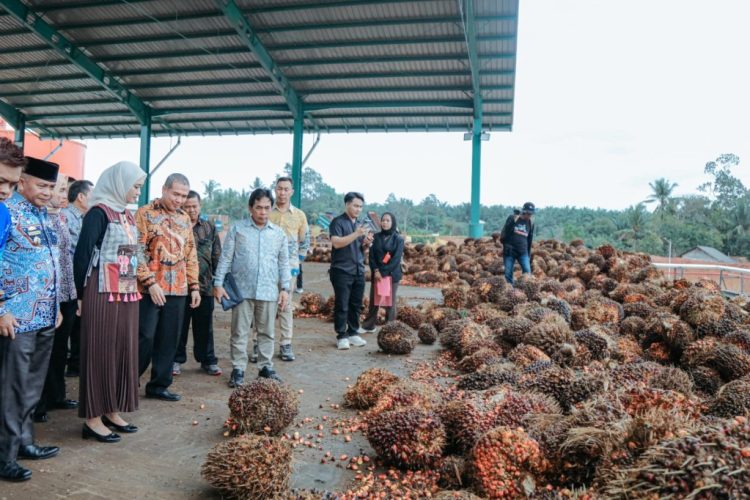 Pabrik Sawit Raksasa PT Pesona Sawit Makmur Resmi Beroperasi Di Lampung Timur, Serap Tenaga Kerja Dan Dongkrak Ekonomi Daerah
