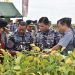 Lanal Lampung Siap Total! Sambut Kunker Kasal TNI AL dan Panen Kedelai 30 Hektar di Kotabumi, Wujud Nyata Ketahanan Pangan Nasional