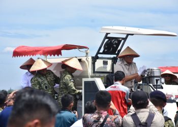 Lanal Lampung Dukung Panen Raya Kedelai, Bukti Nyata TNI AL Perkuat Ketahanan Pangan Nasional