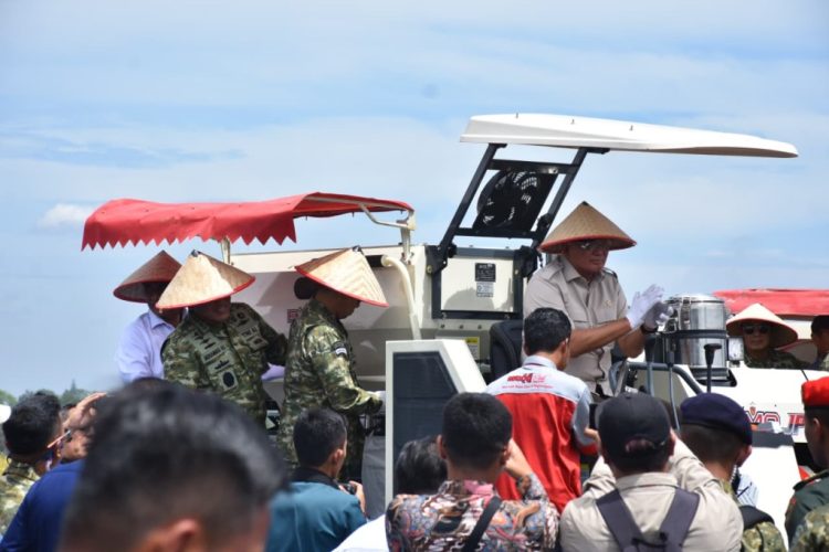 Lanal Lampung Dukung Panen Raya Kedelai, Bukti Nyata TNI AL Perkuat Ketahanan Pangan Nasional