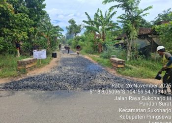 Jalan Lingkungan Di Sukoharjo Rampung, Program Aspirasi Gerindra Buktikan Kerja Nyata Untuk Warga