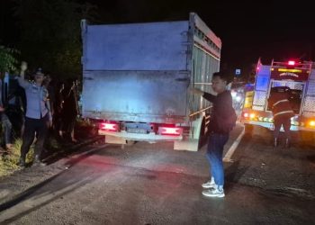 Truk Tangki Bermuatan CPO Terbakar di Jalur Lintas Barat Tanggamus, Begini Kronologinya