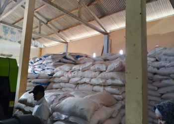 Dinas Pertanian Pringsewu Tegaskan Pengawasan Ketat Harga Pupuk: Kios Nakal Siap Ditutup, Ini Harga Terbaru yang Wajib Dipatuhi