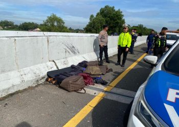 Puluhan Ribu Pil Ekstasi Ditemukan Tak Bertuan di Tol Bakter Lampung, Polisi Masih Selidiki Pemiliknya