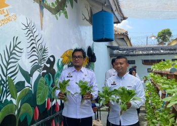 Panen Pakcoy di Lapas Kalianda Mengejutkan Publik: Program Hidroponik Unggulan Cetak Keterampilan dan Harapan Baru Warga Binaan