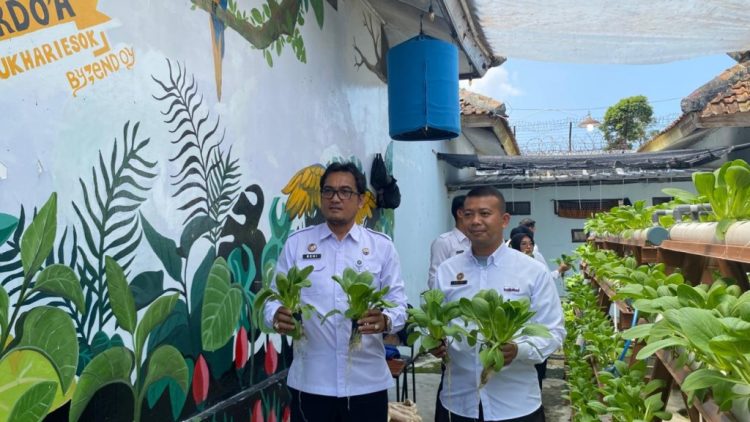 Panen Pakcoy di Lapas Kalianda Mengejutkan Publik: Program Hidroponik Unggulan Cetak Keterampilan dan Harapan Baru Warga Binaan