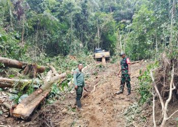 Dishut Lampung Klarifikasi Penebangan di Lahan Pesisir Barat