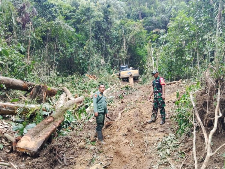 Dishut Lampung Klarifikasi Penebangan di Lahan Pesisir Barat