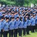 Ribuan Non ASN Pesawaran Jadi PPPK Paruh Waktu