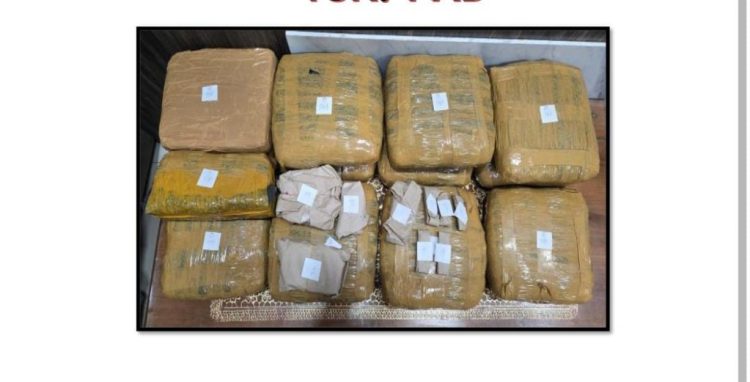 Gerebek Rumah di Kalianda, Polda Lampung Tangkap Pengedar dan Sita 13 Kg Ganja