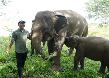 Isu Tata Kelola Mencuat, DPRD Diminta Perkuat Fungsi Pengawasan