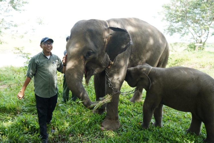 Isu Tata Kelola Mencuat, DPRD Diminta Perkuat Fungsi Pengawasan