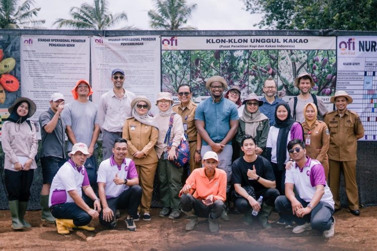 Kakao Berlapis di Lampung Timur: Panen Ekonomi dan Lingkungan Bersama
