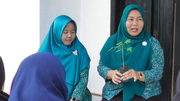 Program Pepaya Pekarangan Desa Mekar Jaya Dukung Ketahanan Pangan dan MBG