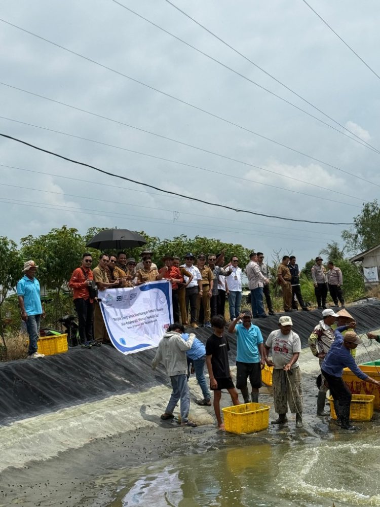Kolaborasi Nasional Hidupkan Tambak Rakyat, Dipasena Kembali Produktif